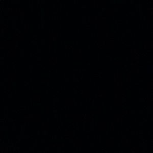 Meet your Posher, Antoine